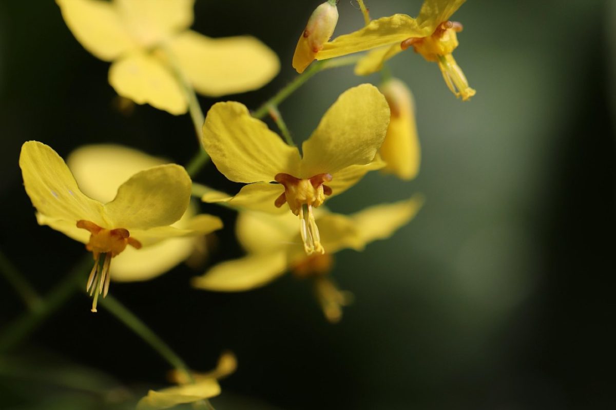Comparatif protège‑tibias : confort et maintien