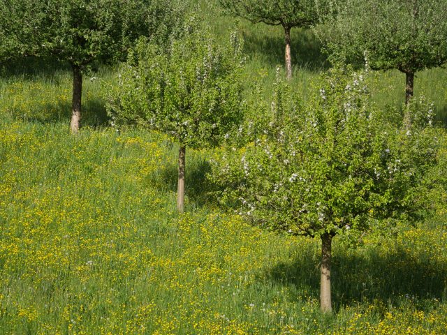 Comment se préparer efficacement à la saison des allergies ?