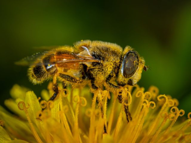 Préparer sa saison des allergies : conseils pratiques